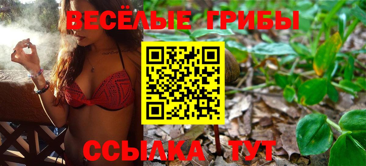 Можайск  Псилоцибиновые грибы Psilocybe  Галлюциногенные грибы GOLDEN TEACHER  Вход с VPN 